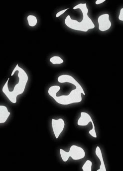 Stickers Réfléchissants Léopard - Bookman 9 Stickers Réfléchissants Léopard - Bookman -Accessoires vélo Soldes stickers reflechissants leopard bookman 3