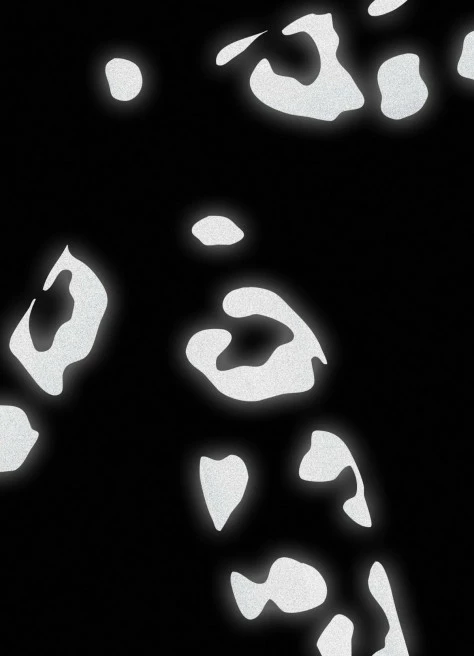 Stickers Réfléchissants Léopard - Bookman 4 Stickers Réfléchissants Léopard - Bookman – Image 4