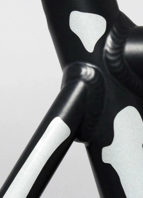 Stickers Réfléchissants Léopard - Bookman 6 Stickers Réfléchissants Léopard - Bookman – Image 6